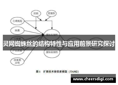 灵网蜘蛛丝的结构特性与应用前景研究探讨